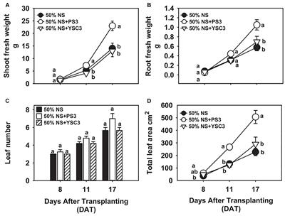 Frontiers The Photosynthetic Bacterium Rhodopseudomonas Palustris Strain Ps3 Exerts Plant Growth Promoting Effects By Stimulating Nitrogen Uptake And Elevating Auxin Levels In Expanding Leaves Plant Science