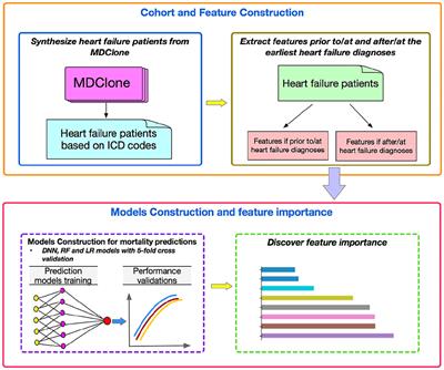 From free‐text electronic health records to structured cohorts: Onconum, an  innovative methodology for real‐world data mining in breast cancer -  ScienceDirect