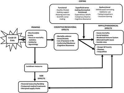 Frontiers  For the Greater Good? The Devastating Ripple Effects of the  Covid-19 Crisis