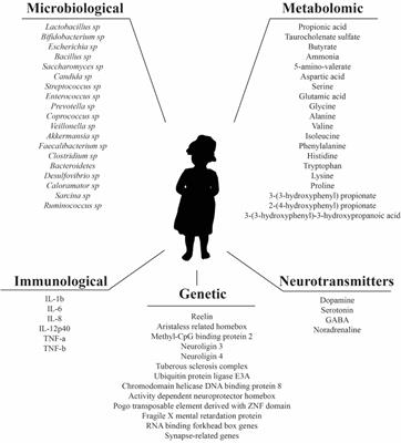 Frontiers | Spectrum Disorder Associated Gut Microbiota at Immune, Metabolomic, and Neuroactive Neuroscience