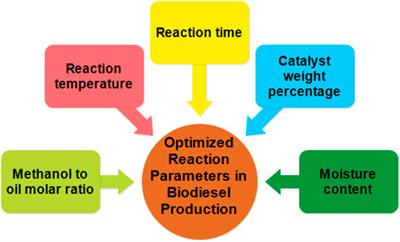 Length of ignition test of 1 gram bioethanol gel.
