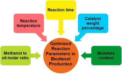 Frontiers | Fabrication and Optimization of Nanocatalyst for Biodiesel Production: An Overview Frontiers | Fabrication and Optimization of Nanocatalyst for Biodiesel Production: An Overview