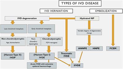 Frontiers | Classification of Intervertebral Disc Disease Frontiers | Classification of Intervertebral Disc Disease