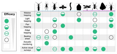 Rainfall Sets Stage For Several Nuisance Pests