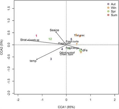 Sinking Diatom Assemblages As A Key Driver For Deep Carbon And Silicon Export In The Scotia Sea Southern Ocean Earth Science Frontiers Sinking Diatom Assemblages As A Key Driver For Deep Carbon And Silicon Export In The Scotia Sea Southern Ocean Earth Science Frontiers