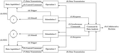 Frontiers | A Cross-Session Dataset for Collaborative Brain-Computer ...