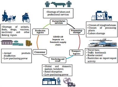 Frontiers | Animal Welfare and Livestock Supply Chain Sustainability Under the COVID-19 Outbreak: An Overview Frontiers | Animal Welfare and Livestock Supply Chain Sustainability Under the COVID-19 Outbreak: An Overview