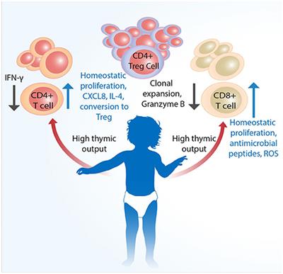 T-cell acute lymphoblastic leukemia: Symptoms, treatment, and more