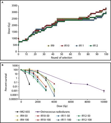 Ionizing Radiation Resistance in Deinococcus Radiodurans