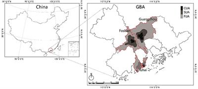 Frontiers | Ecological and Landscape Perspectives on Urban Forest Planning and Construction: A ...