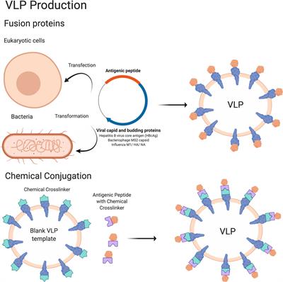 Frontiers Emerging Concepts And Technologies In Vaccine Development Immunology