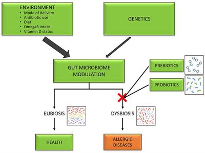 prebiotikus dysbiosis