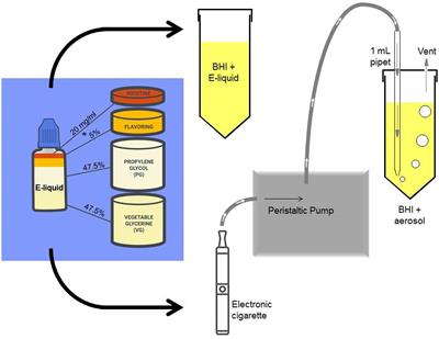 In Vitro Toxicological Investigation and Risk Assessment of E-Cigarette  Aerosols Based on a Novel Solvent-Free Extraction Method