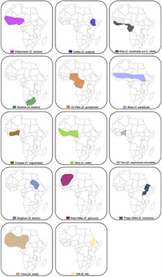 The Rise and Fall of the Transpacific Slave Trade (Chapter 3) - Asian  Slaves in Colonial Mexico