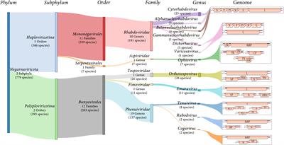 predispoziia genetica la varicoza varicoza eliminarea operaiunilor de eliminare a operaiunilor varicoase
