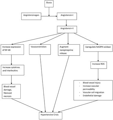 hypertensive crisis etiology