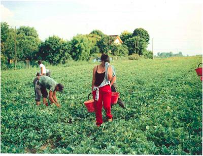 Frontiers Against Single Stories of Left Behind and Triple Win On Agricultural Care Chains and the Permanent Subsistence Crisis