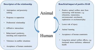 Frontiers | The Power of a Positive Human–Animal Relationship for Animal  Welfare