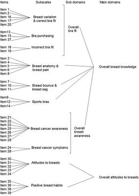 Frontiers | Breast Education Improves Adolescent Girls' Breast Knowledge,  Attitudes to Breasts and Engagement With Positive Breast Habits