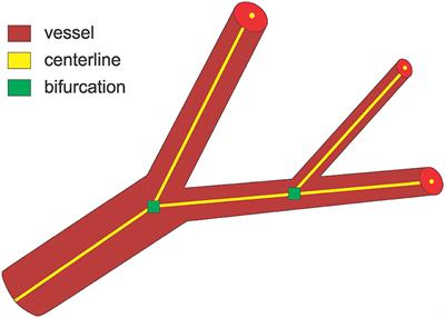 Frontiers Deepvesselnet Vessel Segmentation Centerline Prediction And Bifurcation Detection In 3 D Angiographic Volumes Neuroscience Frontiers Deepvesselnet Vessel Segmentation Centerline Prediction And Bifurcation Detection In 3 D Angiographic Volumes Neuroscience