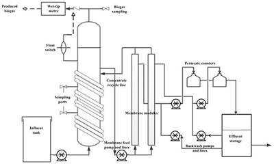 Frontiers Performance Of Anmbr In Treatment Of Post Consumer Food Waste Effect Of Hydraulic Retention Time And Organic Loading Rate On Biogas Production And Membrane Fouling Bioengineering And Biotechnology
