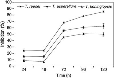 Frontiers Biological Management Of Banana Fusarium Wilt Caused By Fusarium Oxysporum F Sp Cubense Tropical Race 4 Using Antagonistic Fungal Isolate Csr T 3 Trichoderma Reesei Microbiology