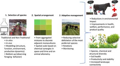 Frontiers | Designing Diverse Agricultural Pastures for Improving Ruminant  Production Systems