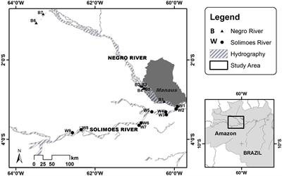 Frontiers Patterns Of Pelagic Fish Diversity In Floodplain Lakes Of Whitewater And Blackwater Drainage Systems Within The Central Amazon River Basin Of Brazil