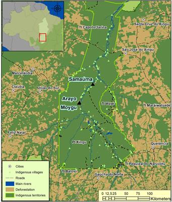 Frontiers Indigenous Knowledge And Forest Succession Management In The Brazilian Amazon Contributions To Reforestation Of Degraded Areas Forests And Global Change
