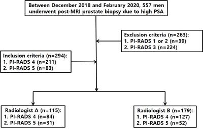 pi rads iv prostate