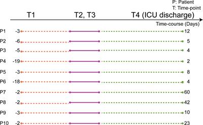Frontiers Glycoproteoform Profiles Of Individual Patients Plasma Alpha 1 Antichymotrypsin Are Unique And Extensively Remodeled Following A Septic Episode Immunology