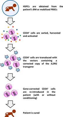 gene therapy for scid gene therapy for scid