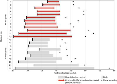 Port fordøje højde Frontiers | Colonization of Supplemented Bifidobacterium breve M-16V in Low  Birth Weight Infants and Its Effects on Their Gut Microbiota Weeks  Post-administration | Microbiology