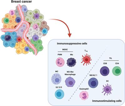 The Reason Cancer Evades Your Immune System So Incredibly Well