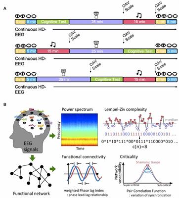 Frontiers Neural Correlates Of The Shamanic State Of Consciousness Human Neuroscience Frontiers Neural Correlates Of The Shamanic State Of Consciousness Human Neuroscience