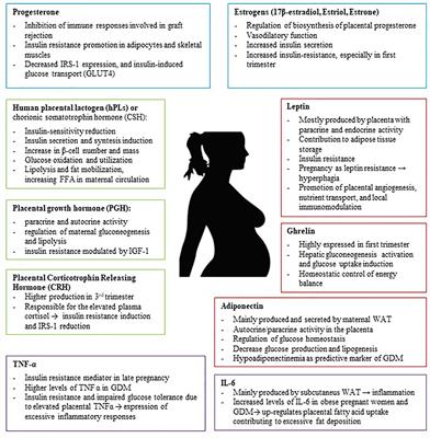 igt diabetes during pregnancy