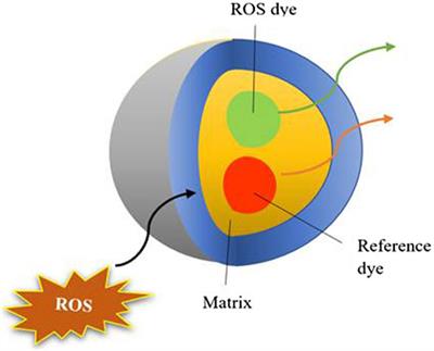 Evaluating different web applications to assess the toxicity of