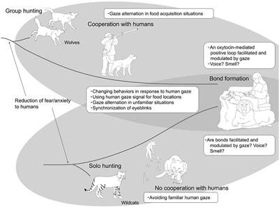 Cat Vs. Dog Owners: Who Is Happier? A Psychologist Settles The Debate