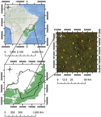 PDF) Intention of preserving forest remnants among landowners in the  Atlantic Forest: The role of the ecological context via ecosystem services