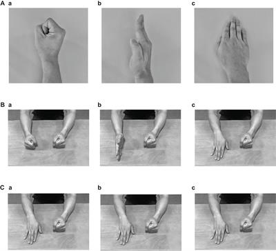 Frontiers Examination Of The Prefrontal Cortex Hemodynamic Responses To The Fist Edge Palm Task In Naive Subjects Using Functional Near Infrared Spectroscopy Human Neuroscience