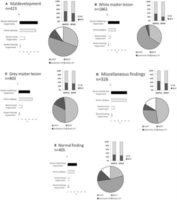 Frontiers Neuroimaging Patterns And Function In Cerebral Palsy Application Of An Mri Classification Neurology