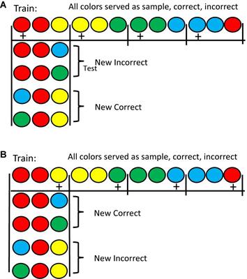 Frontiers Macphail 1987 Revisited Pigeons Have Much Cognitive Behavior In Common With Humans Psychology Frontiers Macphail 1987 Revisited Pigeons Have Much Cognitive Behavior In Common With Humans Psychology