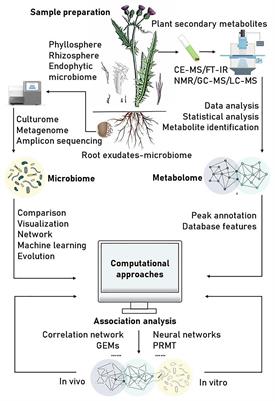 Frontiers | Linking Plant Secondary Metabolites and Plant Microbiomes: A Review Frontiers | Linking Plant Secondary Metabolites and Plant Microbiomes: A Review