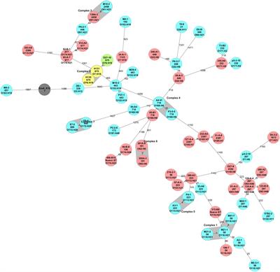 Whole Genome Phylogenetic Analysis Reveals A Wide Diversity Of Non O157 Stec Isolated From Ground Beef And Cattle Feces Microbiology Frontiers
