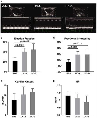 Frontiers Consistent Long Term Therapeutic Efficacy Of Human Umbilical Cord Matrix Derived Mesenchymal Stromal Cells After Myocardial Infarction Despite Individual Differences And Transient Engraftment Cell And Developmental Biology Frontiers Consistent Long Term Therapeutic Efficacy Of Human Umbilical Cord Matrix Derived Mesenchymal Stromal Cells After Myocardial Infarction Despite Individual Differences And Transient Engraftment Cell And Developmental Biology