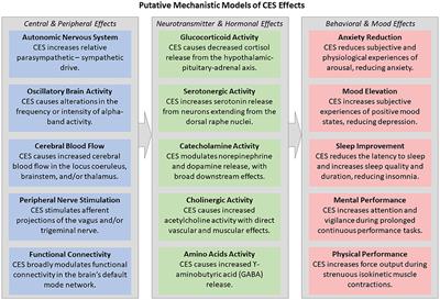 Effects of electrical muscle stimulation on cerebral blood flow