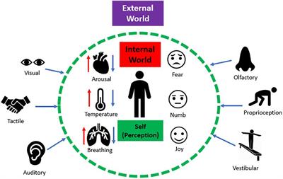 How Processing of Sensory Information From the Internal and External Worlds Shape the Perception and Engagement With the World in the Aftermath of Trauma: Implications for PTSD