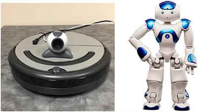 | Robot in Human-Robot Teaming: Effects of Human-Likeness and Physical Embodiment Compliance