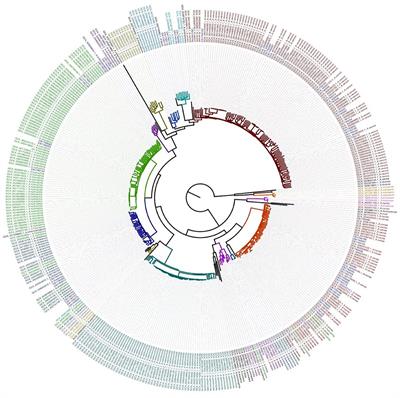 Frontiers Comparison Of The Multiple Platforms To Identify Various Aeromonas Species Microbiology Frontiers Comparison Of The Multiple Platforms To Identify Various Aeromonas Species Microbiology