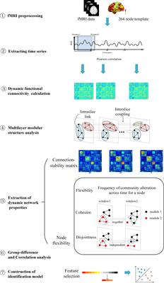 Frontiers | Identifying Mild Hepatic Encephalopathy Based on Multi ...